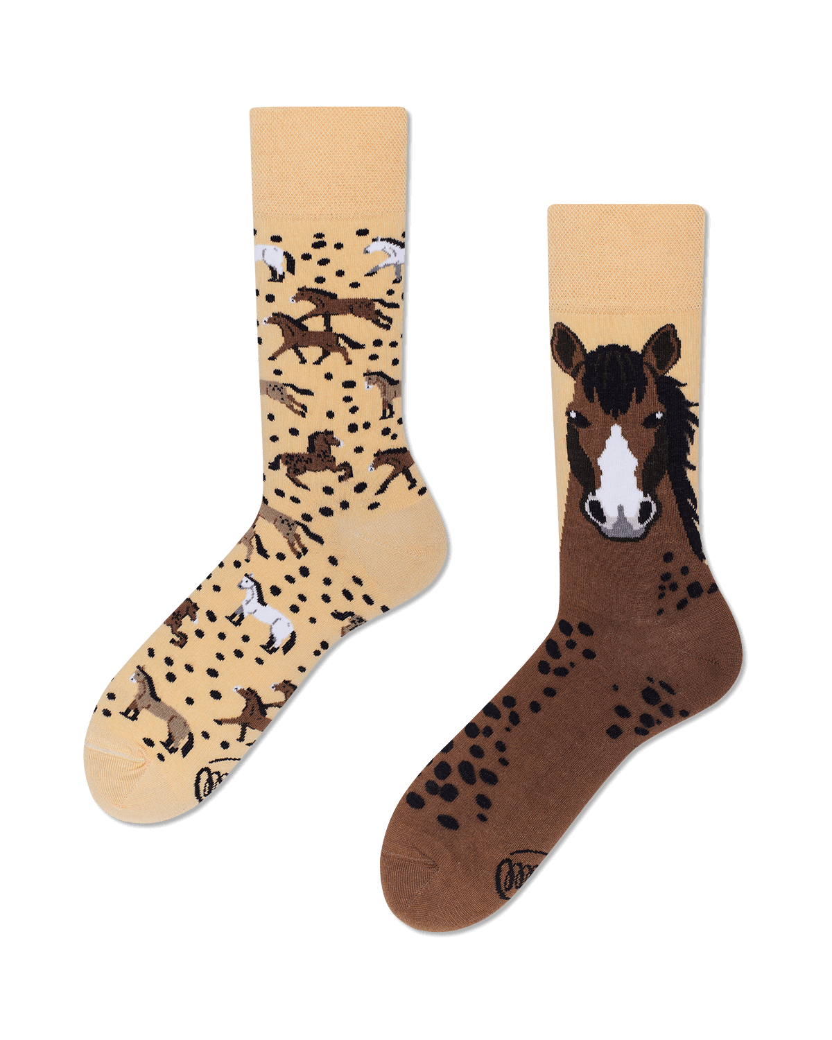 Wild Horse