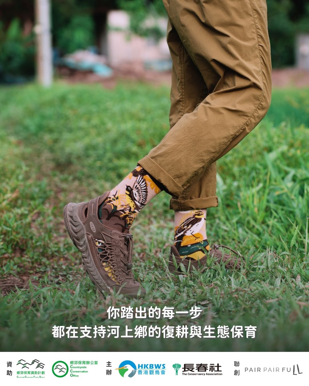 Pair Pair Full HKBWS 飛鵐腿