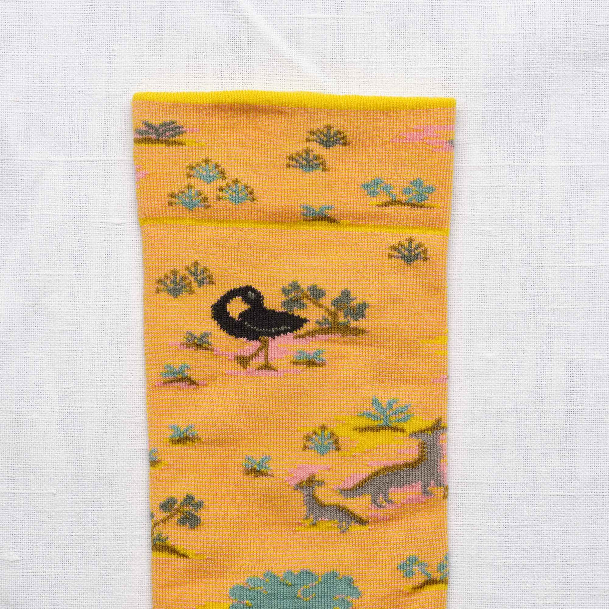 SS25 Contrejour Semis Sulfure Crew | CT5-01