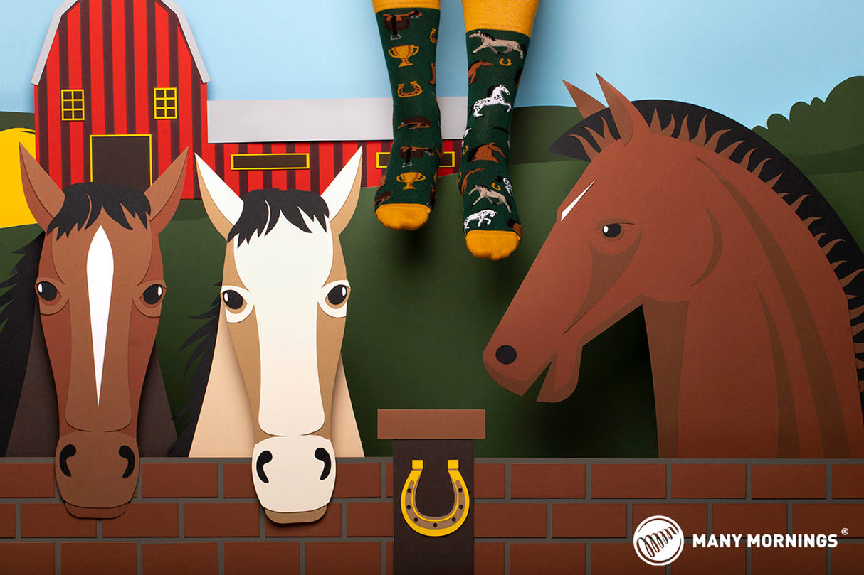Horse Derby