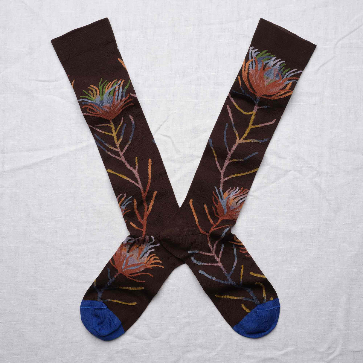 AW25 Le Bois Fleur Marron-Fonce Knee High | BO9-01