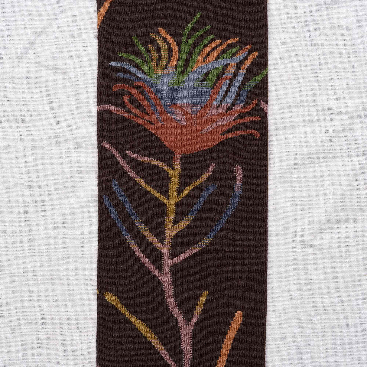 AW25 Le Bois Fleur Marron-Fonce Knee High | BO9-01