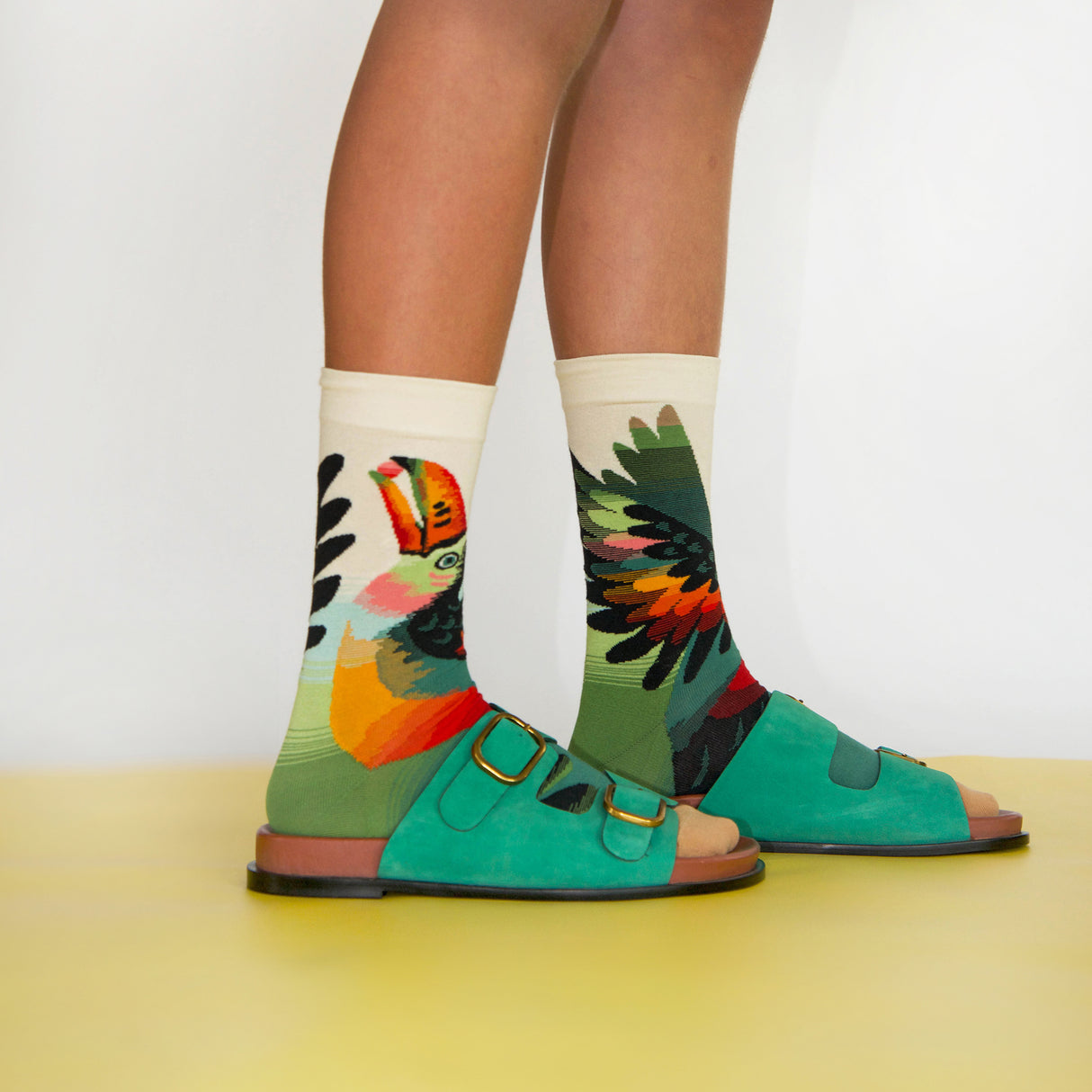 SS26 Eventail Toucan Naturel Crew | EV7-01