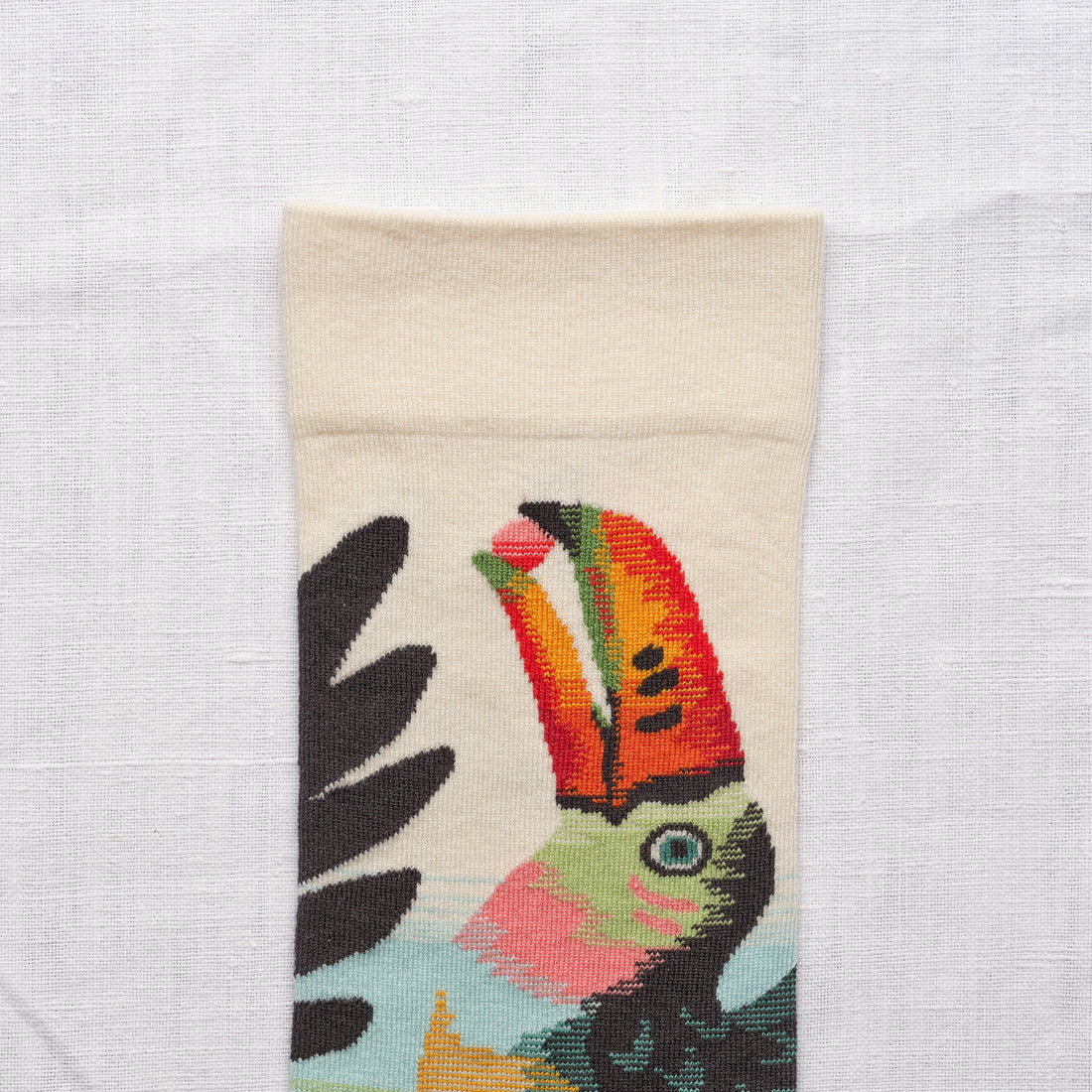 SS26 Eventail Toucan Naturel Crew | EV7-01