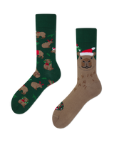 Merrybara