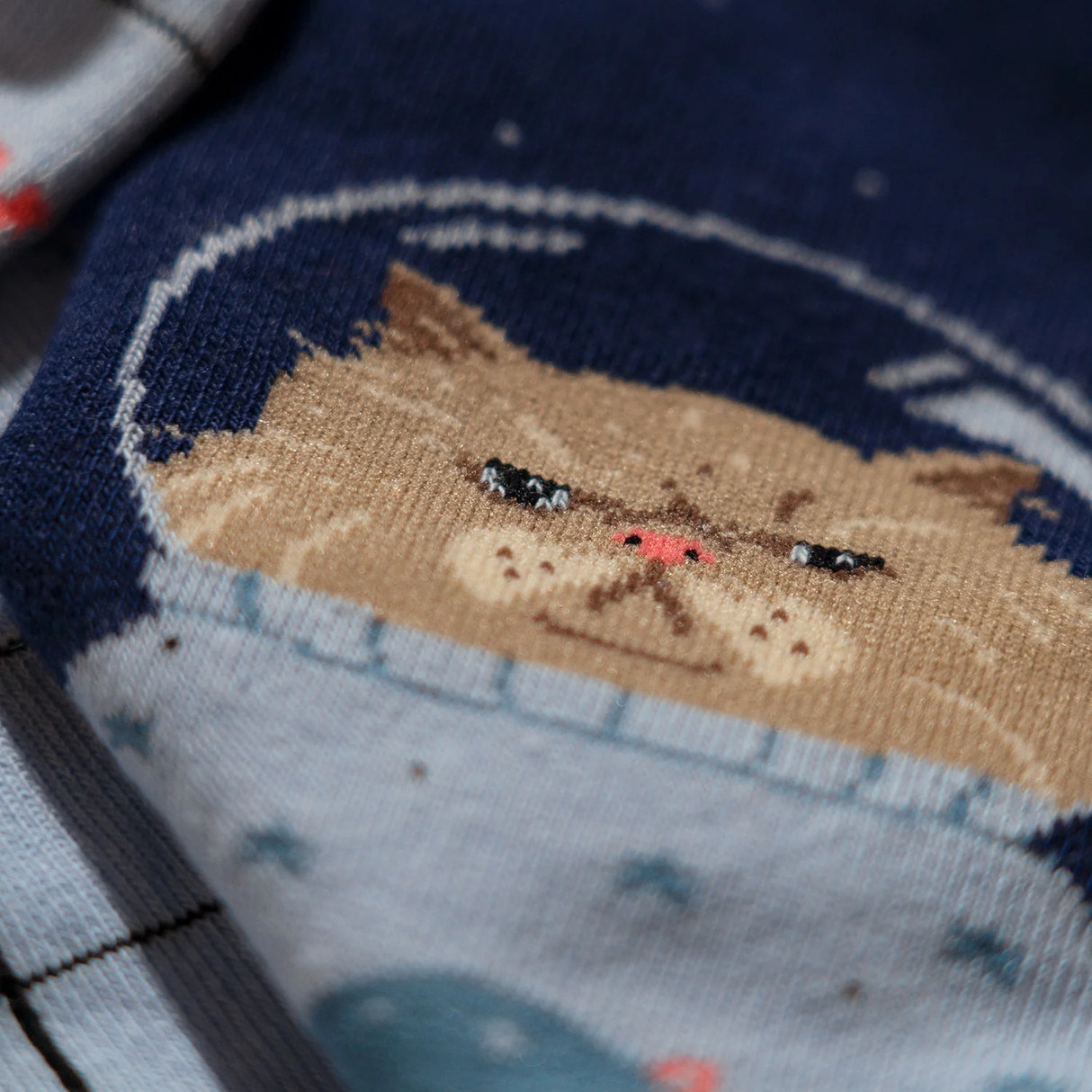 Space cat