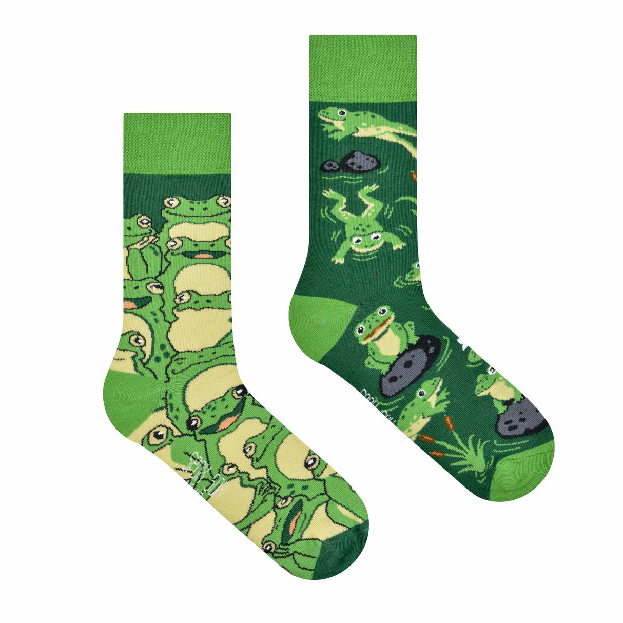Frogs 