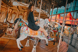 夢想樂園
