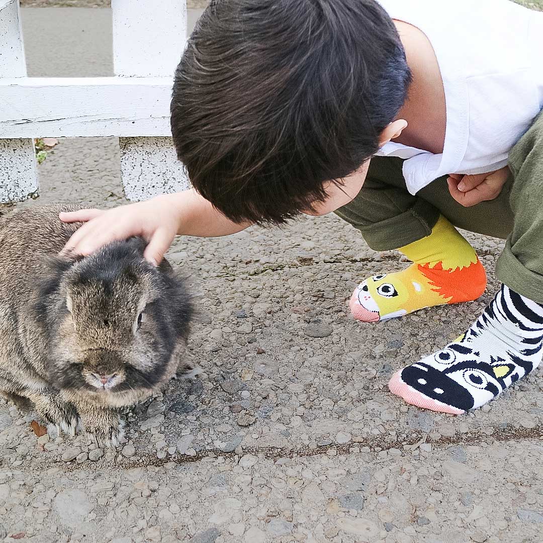 Lion & Zebra 幼兒不對稱襪