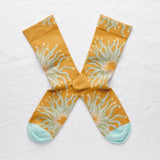 Monde Flottant Ochre Anemone Crew |MF4-01