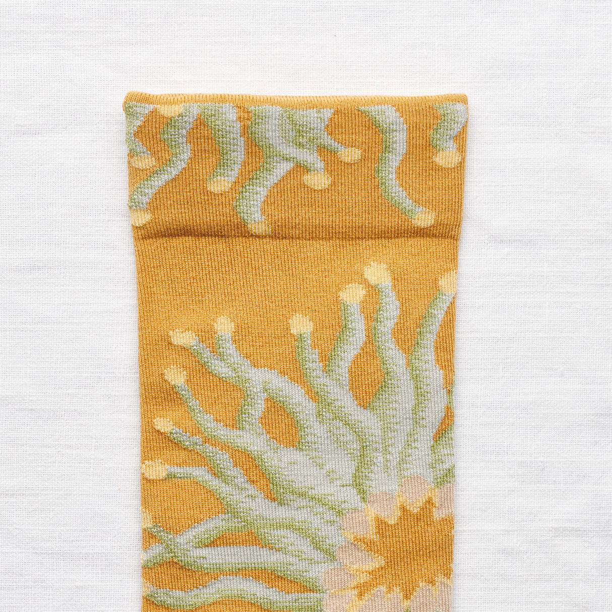 Monde Flottant Ochre Anemone Crew |MF4-01