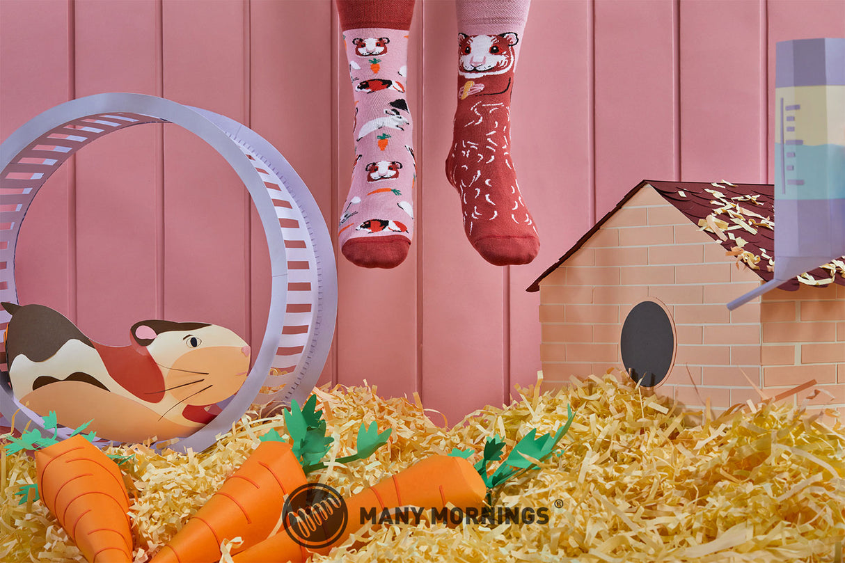 豚鼠小姐