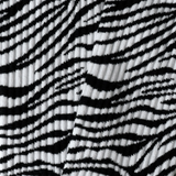 Athletic Zebra Print