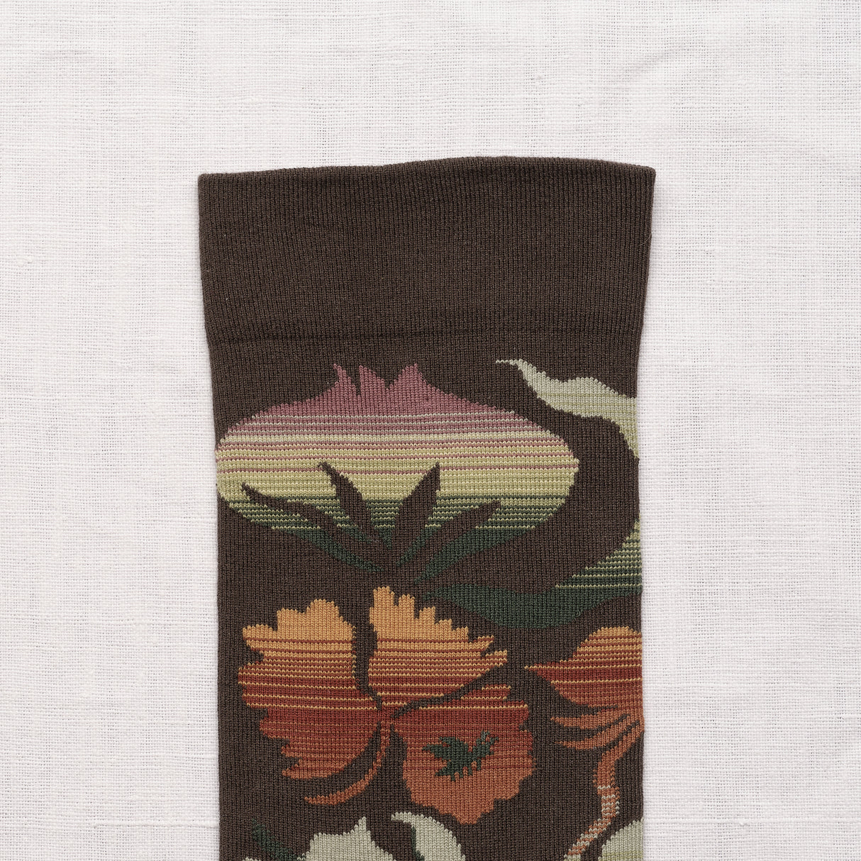AW26 Dimanche Decoupage Terre-dOmbre Crew | DC7-01