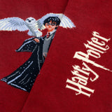 Harry Potter The Boy Who Lived Socks
