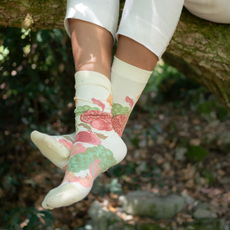 SS26 Petit Trianon Fruits Ecru Crew | PT4-01