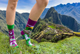 Llamas of Machu Picchu