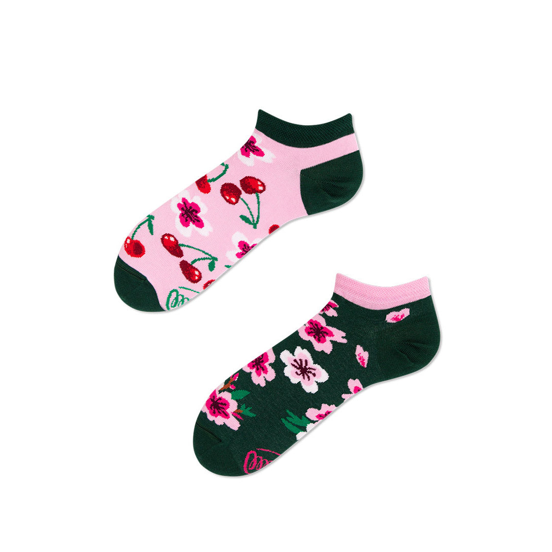 Cherry Blossom Low
