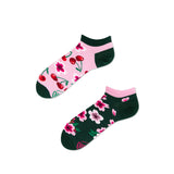 Cherry Blossom Low