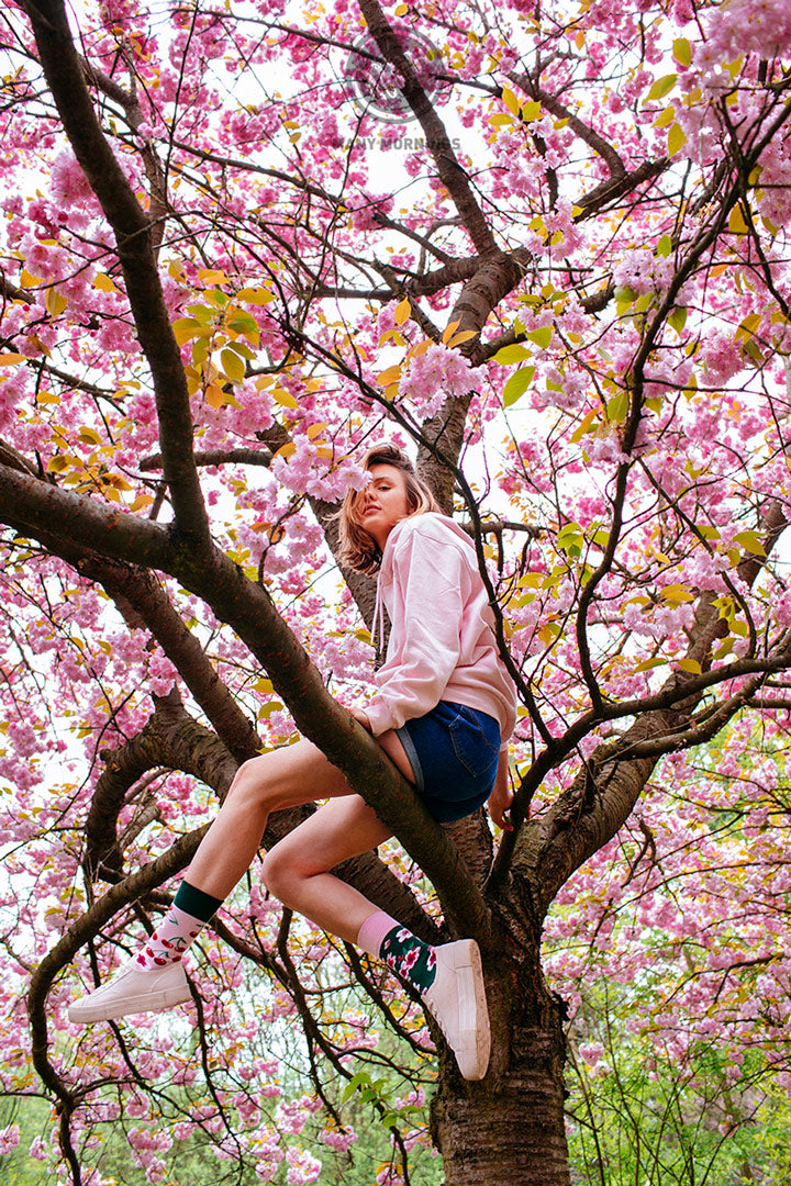 Cherry Blossom