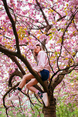 Cherry Blossom