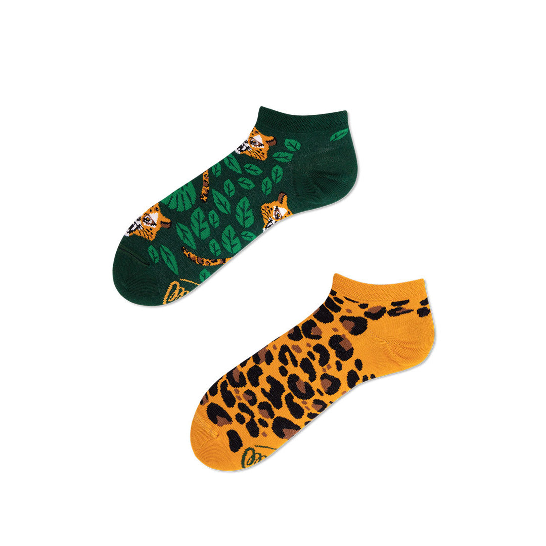 El Leopardo Low