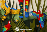 Paradise Parrot
