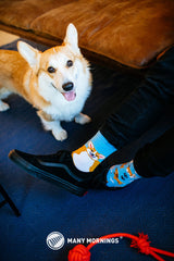 Playful Dog Low