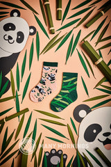 Sweet Panda Kids