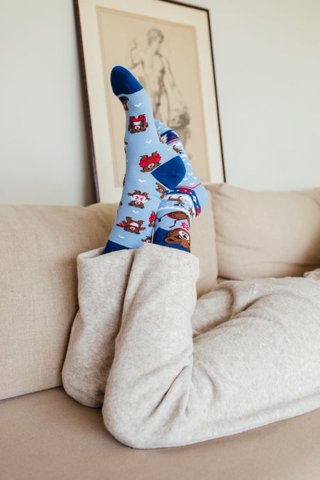 Winter Teddy
